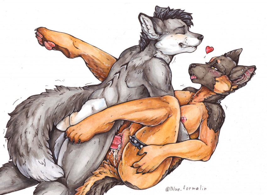 &lt;3 2020 anthro anthro_on_anthro anthro_penetrated anthro_penetrating anthro_penetrating_anthro blue_formalin bodily_fluids breasts brown_body brown_fur butt canid canine canis cum cum_from_pussy cum_in_pussy cum_inside cum_leaking domestic_dog duo female female_penetrated fluffy fluffy_tail fur genital_fluids genitals german_shepherd grey_body grey_fur herding_dog lying male male/female male_on_top male_penetrating male_penetrating_female mammal missionary_position nude on_back on_top pastoral_dog penetration penile penile_penetration penis pussy sex simple_background vaginal vaginal_penetration white_background wolf