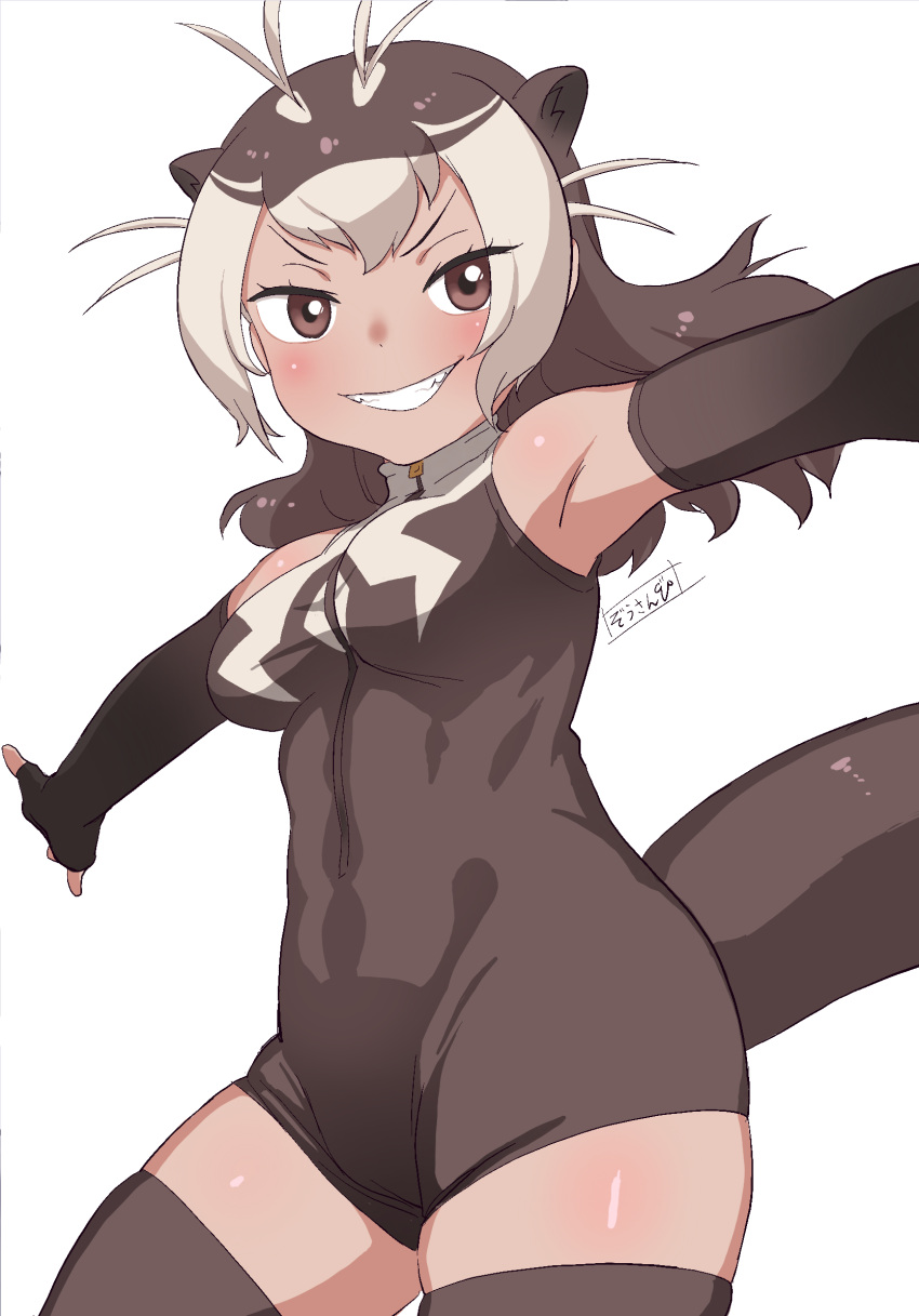 1girl animal_ears antenna_hair armpits bare_shoulders breasts brown_eyes brown_hair commentary elbow_gloves extra_ears fingerless_gloves giant_otter_(kemono_friends) gloves grin highres impossible_clothes impossible_swimsuit kemono_friends looking_at_viewer masuyama_ryou medium_breasts multicolored_hair outstretched_arms simple_background smile solo spread_arms swimsuit tail thighhighs turtleneck_swimsuit two-tone_hair two-tone_swimsuit white_background white_hair