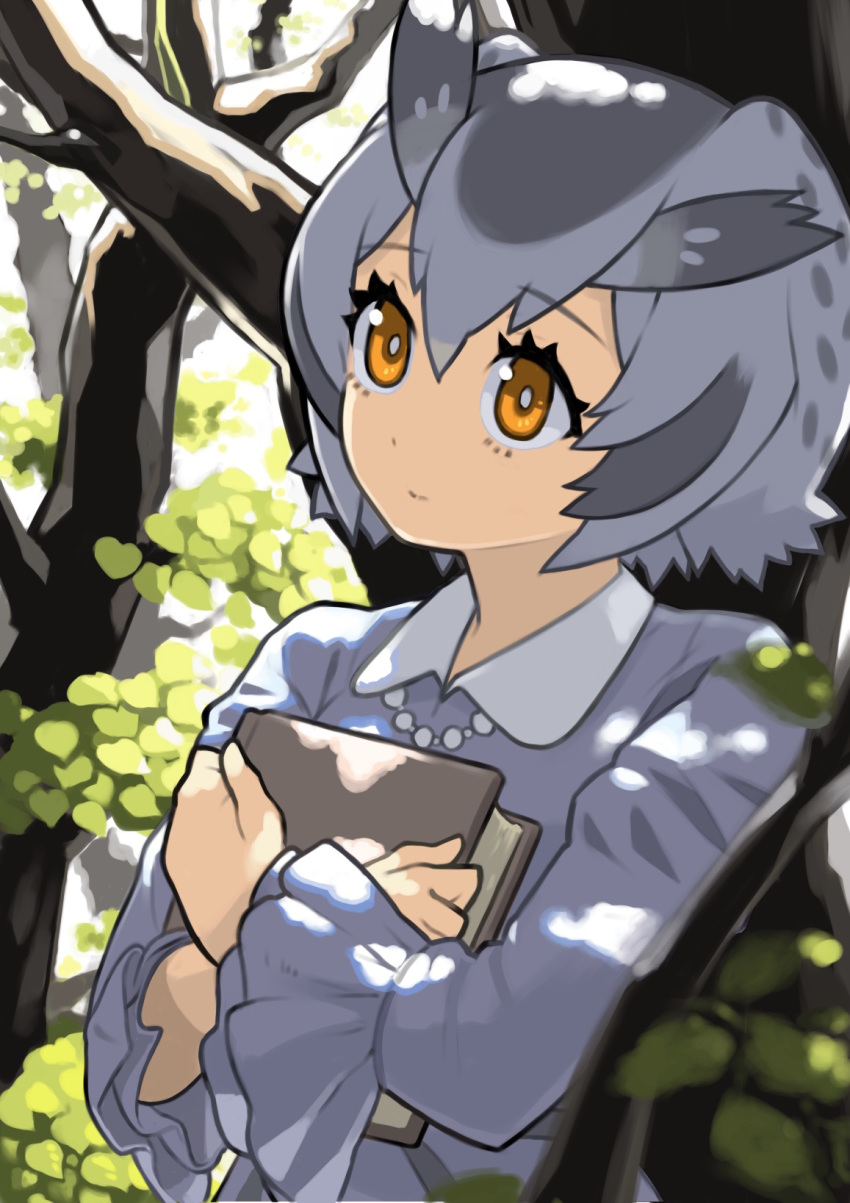1girl alternate_costume bangs book book_hug commentary_request crossed_arms eyebrows_visible_through_hair grey_hair hair_between_eyes highres holding holding_book kemono_friends long_sleeves looking_away multicolored_hair northern_white-faced_owl_(kemono_friends) orange_eyes rinx short_hair solo tree two-tone_hair upper_body