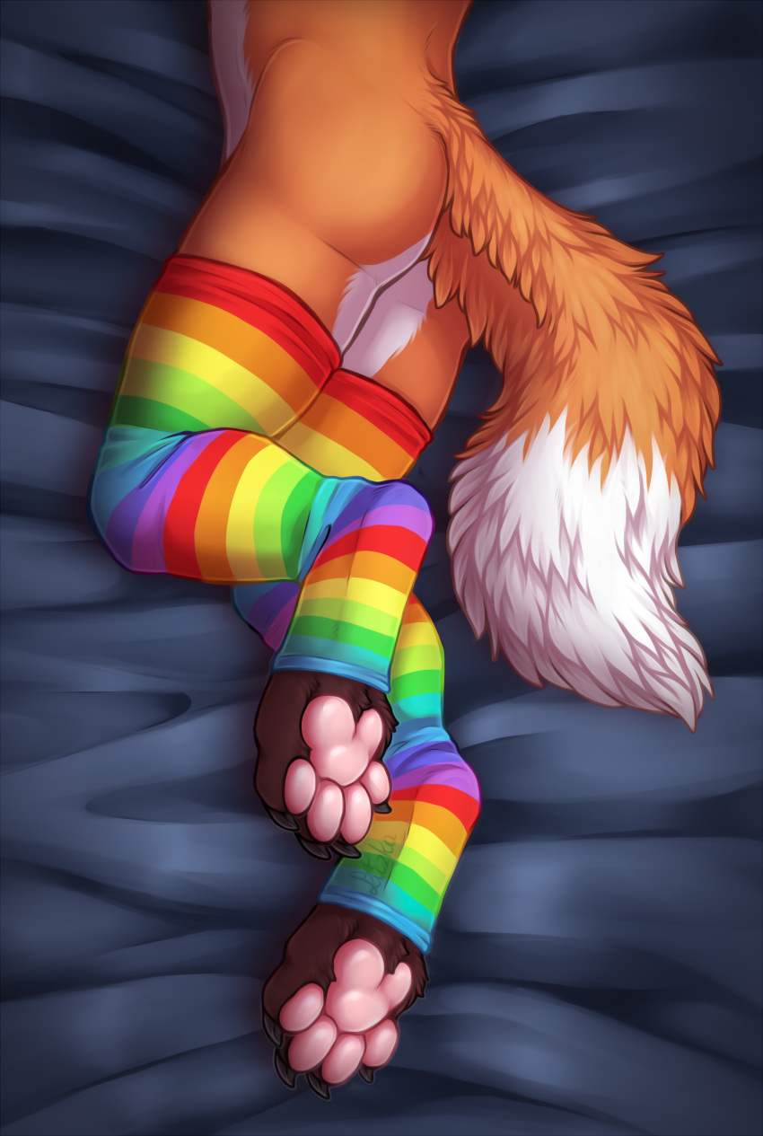 4_toes absurd_res anthro bedding_background butt canid canine claws clothing digitigrade dipstick_tail faceless_male feet fluffy fluffy_tail fox hi_res legs_together legwear liczka lying male mammal mostly_nude multicolored_clothing multicolored_legwear multicolored_stockings multicolored_tail on_side pawpads paws rainbow_clothing rainbow_legwear rainbow_stockings solo stockings toe_claws toes