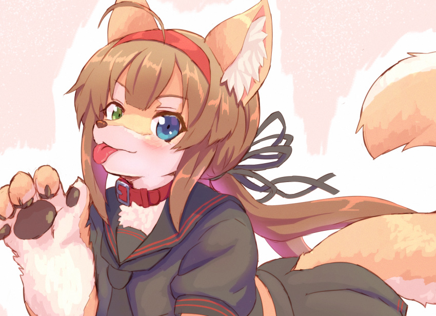 2020 5_fingers accessory anthro blue_eyes blush brown_hair canid canine clothing collar daiha female fingers fox green_eyes hair hair_accessory hairband heterochromia hi_res inner_ear_fluff looking_at_viewer mammal pawpads school_uniform simple_background smile solo tongue tongue_out tuft uniform white_background