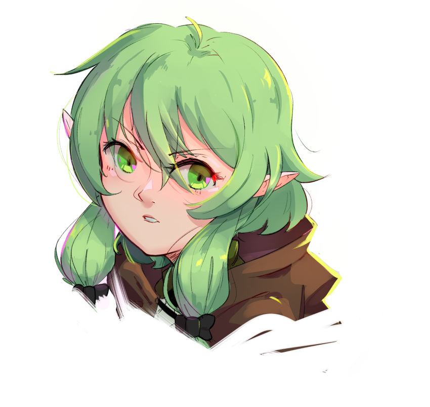 1girl absurdres antennae blush cloak elf goblin_slayer! green_eyes green_hair high_elf_archer_(goblin_slayer!) highres hood light_green_hair mrbadartist pointy_ears self_upload solo