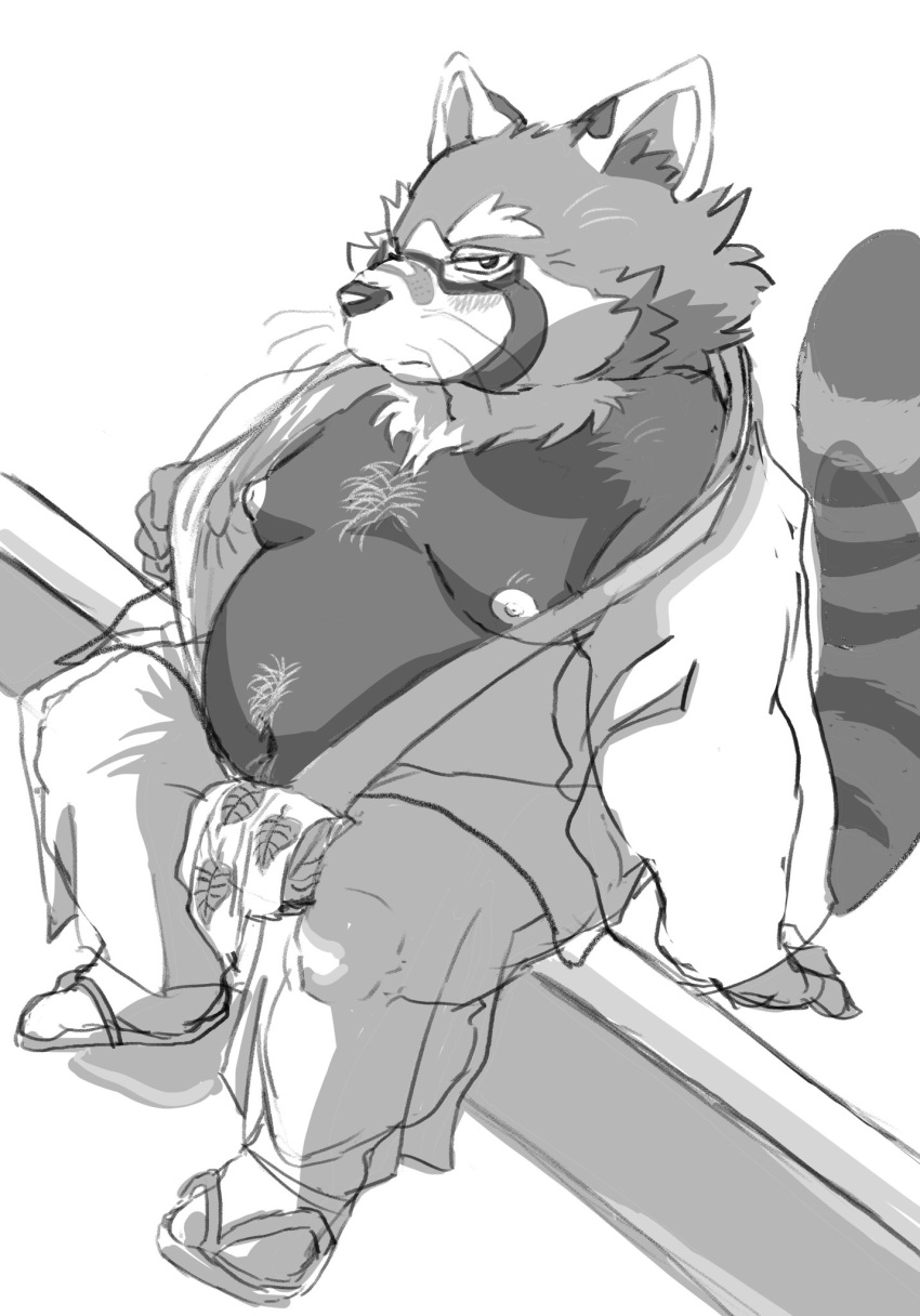 2020 ailurid anthro asian_clothing belly clothing east_asian_clothing eyewear footwear fundoshi glasses hi_res hysk japanese_clothing male mammal monochrome moobs nipples overweight overweight_male red_panda sandals sitting solo underwear