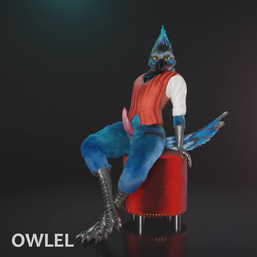 1:1 2020 anthro avian bird blender_(software) blue_body blue_feathers chair claws clothed clothing corvid erection feather_hair feathers furniture genitals hi_res jay_(bird) leaning leaning_back looking_at_viewer male oscine owlel partially_clothed passerine penis presenting presenting_penis pseudo_hair scales shirt simple_background slit solo spread_legs spreading stellars steller's_jay tail_feathers tapering_penis topwear vest yellow_eyes