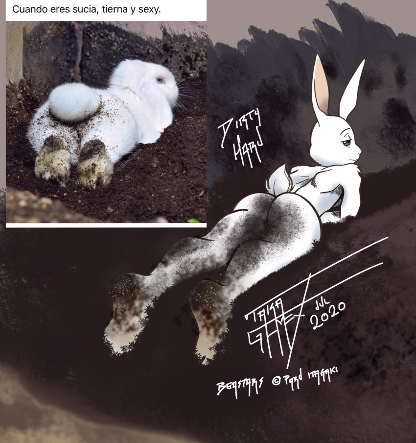 2020 ambiguous_gender anthro beastars butt dirt dirty domestic_rabbit duo female feral fur haru_(beastars) hi_res lagomorph leporid looking_at_viewer looking_back looking_back_at_viewer lying mammal mud nude on_front oryctolagus photography_(artwork) rabbit rear_view reference_image signature spanish_text taka_studio text translated white_body white_fur