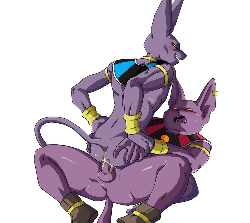 anal anthro balls beerus blush butt champa dragon_ball dragon_ball_super duo erection genitals hi_res male male/male tea_time