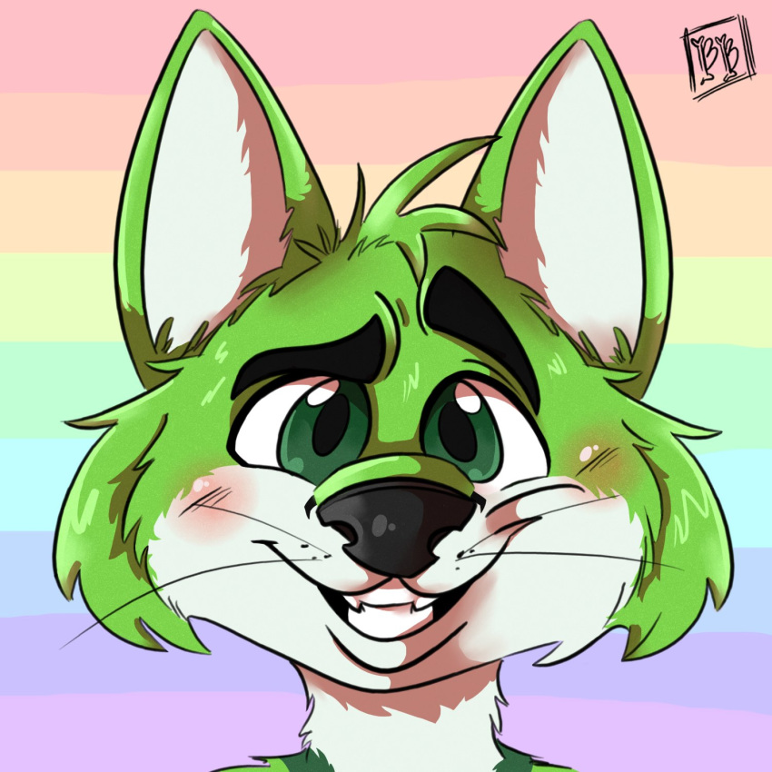 1:1 anthro black_nose blush bonybones canid canine digital_media_(artwork) eyebrows fidget_the_fox fox fur green_body green_eyes green_fur headshot_portrait hi_res lgbt_pride looking_at_viewer male mammal portrait pride_colors rainbow rainbow_background shading_eyes signature simple_background solo teeth whiskers white_body white_fur