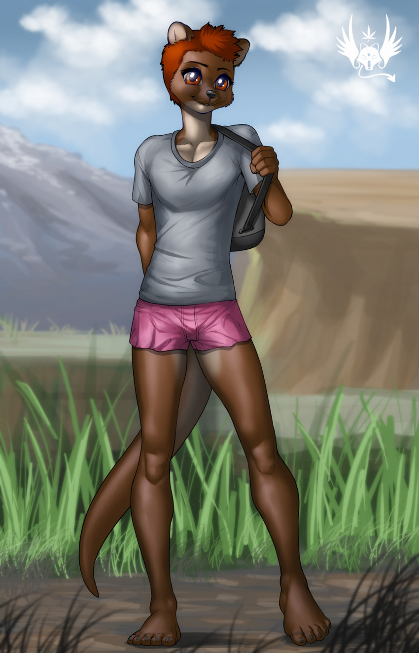 2020 5_toes barefoot brown_body brown_fur brown_tail clothed clothing cloud eldiman front_view full-length_portrait fully_clothed fur grass grey_clothing grey_shirt grey_topwear hair hi_res lutrine mammal monotone_clothing monotone_shirt monotone_topwear mustelid outside pink_clothing portrait shirt sky solo toes topwear