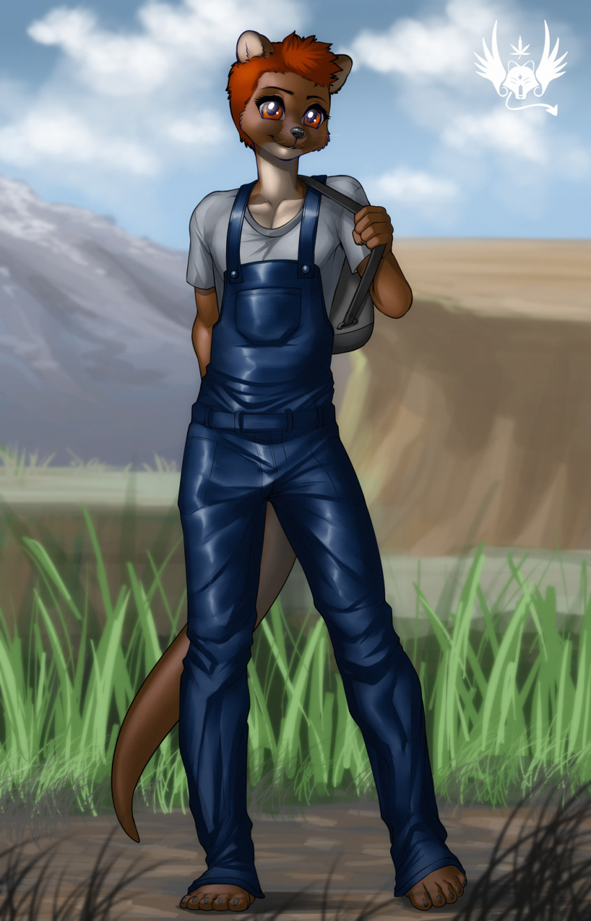 2020 backpack barefoot blue_overalls brown_body brown_fur clothed clothing cloud eldiman front_view full-length_portrait fully_clothed fur grass grey_clothing grey_shirt grey_topwear hair hi_res lutrine mammal mustelid outside overalls portrait shirt sky solo topwear