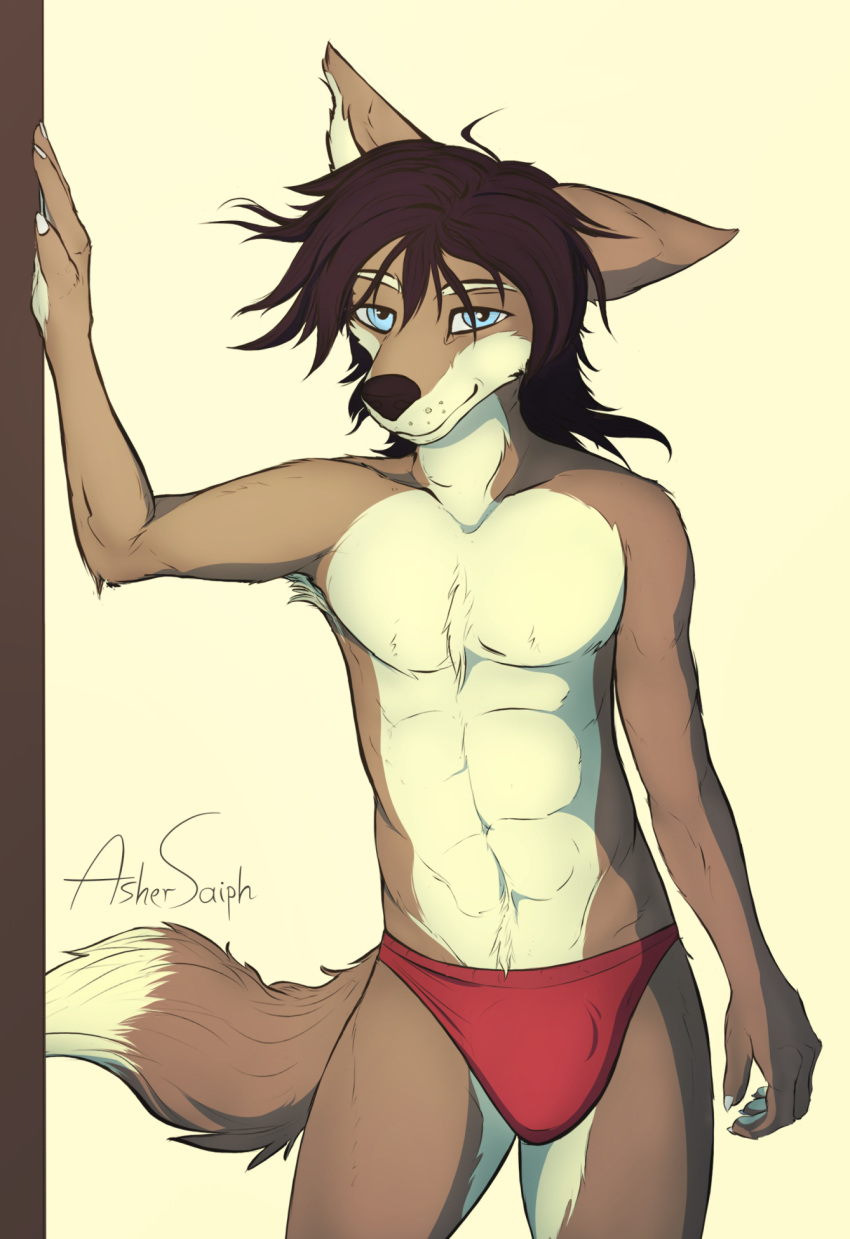 anthro asher blue_eyes brown_body brown_fur canid canine canis clothing fur hair hi_res jackal long_hair male mammal panties smile smirk solo underwear volp3