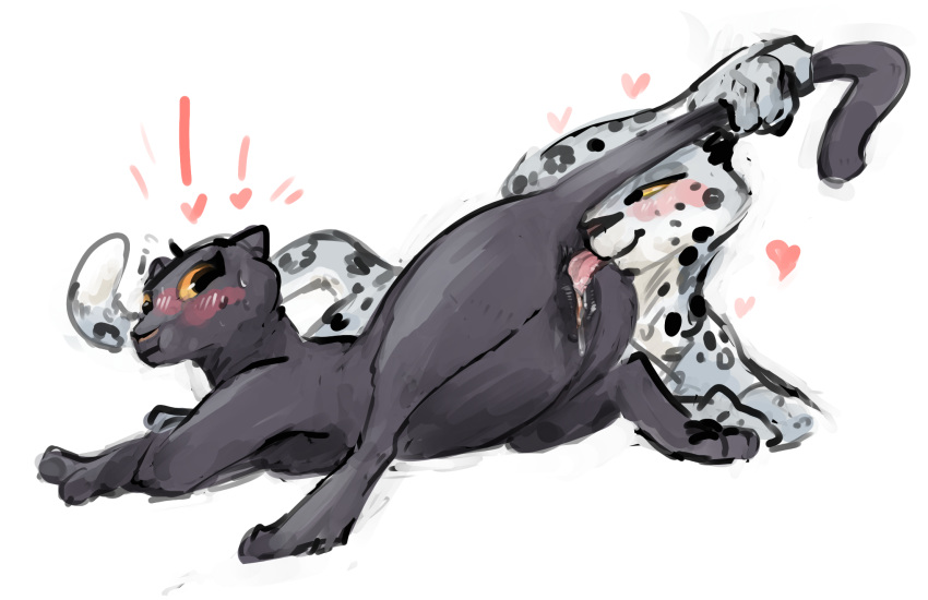 ! &lt;3 anthro anthro_on_anthro anus black_body black_fur black_spots blush bodily_fluids cunnilingus disney fabienne_growley felid female fur genitals hi_res leopard_spots mammal naturalist_panther nobby_(artist) nude oral pantherine pussy sex simple_background snow_leopard spots sweat sweatdrop tongue tongue_out vaginal white_background white_body white_fur zootopia
