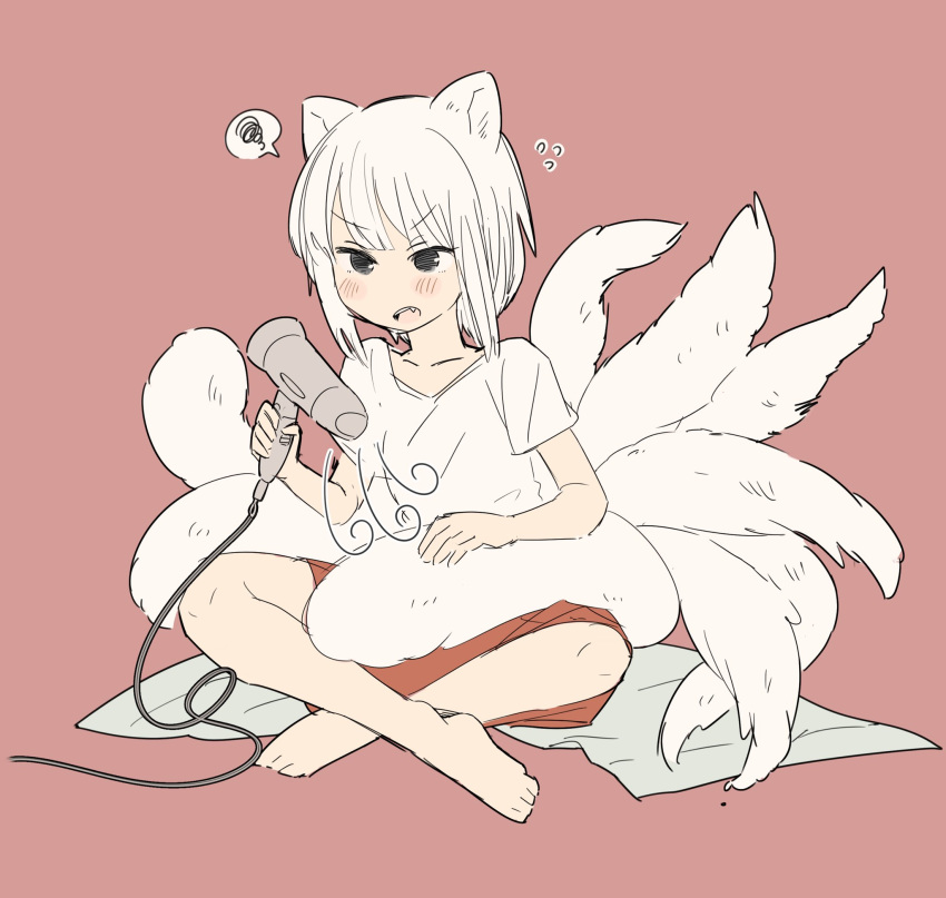 1girl animal_ears barefoot blush drying fang flying_sweatdrops fox_ears fox_tail hair_dryer highres inazakura00 indian_style open_mouth original pink_background red_shorts shirt shorts simple_background sitting solo spoken_squiggle squiggle tail white_hair white_shirt