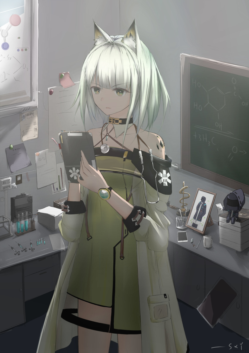 1girl absurdres animal_ear_fluff animal_ears arknights bangs bare_shoulders black_choker character_doll choker cowboy_shot doctor_(arknights) dress eyebrows_visible_through_hair green_dress grey_eyes highres holding indoors kal'tsit_(arknights) long_sleeves off-shoulder_dress off_shoulder ore_lesion_(arknights) picture_frame short_dress short_hair silver_hair solo standing sxy-nr test_tube watch wristwatch