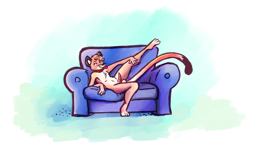 anthro balls chiggedychew collar cougar digital_media_(artwork) draconicmentalist felid feline furniture genitals leg_stretch male mammal penis presenting simple_background smile smirk sofa solo streching tongue tongue_out