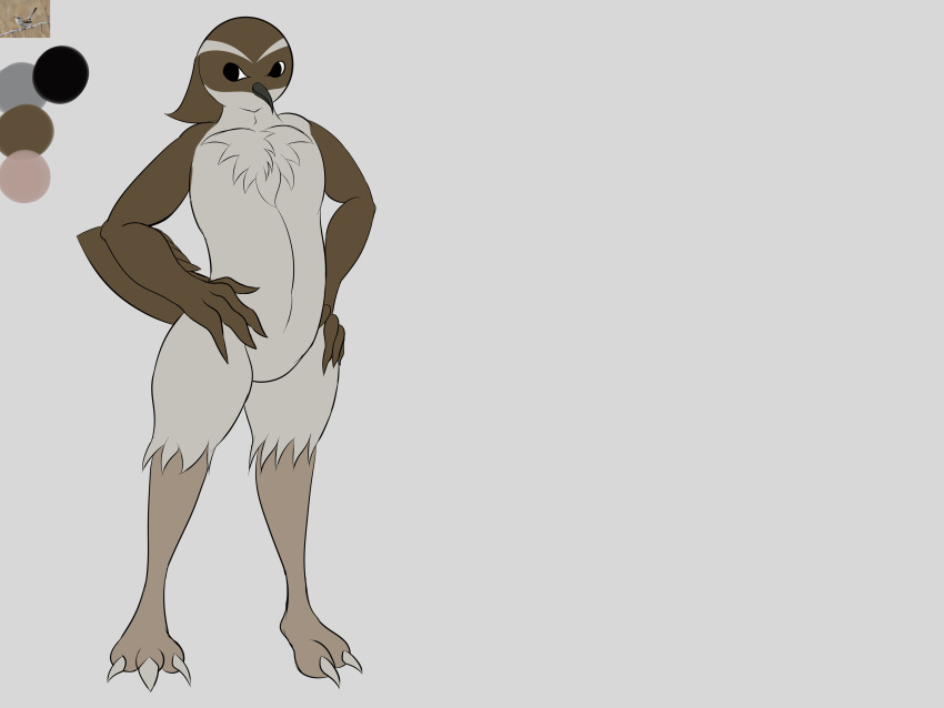 4:3 absurd_res anthro bewick's_wren certhioid confident darell-sama eyebrows feathers fluffy hands_on_hips hi_res male model_sheet solo standing tail_feathers wren