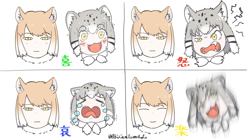 2girls ^_^ akicantsumikoto angry animal_ears bangs black_hair blush brown_hair cat_ears cat_girl closed_eyes closed_mouth crying crying_with_eyes_open expression_chart expressionless expressions eyebrows_visible_through_hair face fangs fox_ears fox_girl fur_collar furrowed_eyebrows grey_hair happy highres kemono_friends light_brown_hair light_smile medium_hair motion_blur multicolored_hair multiple_girls open_mouth pallas's_cat_(kemono_friends) parted_bangs sad smile tears tibbers translation_request twitter_username two-tone_hair white_hair wide-eyed yellow_eyes