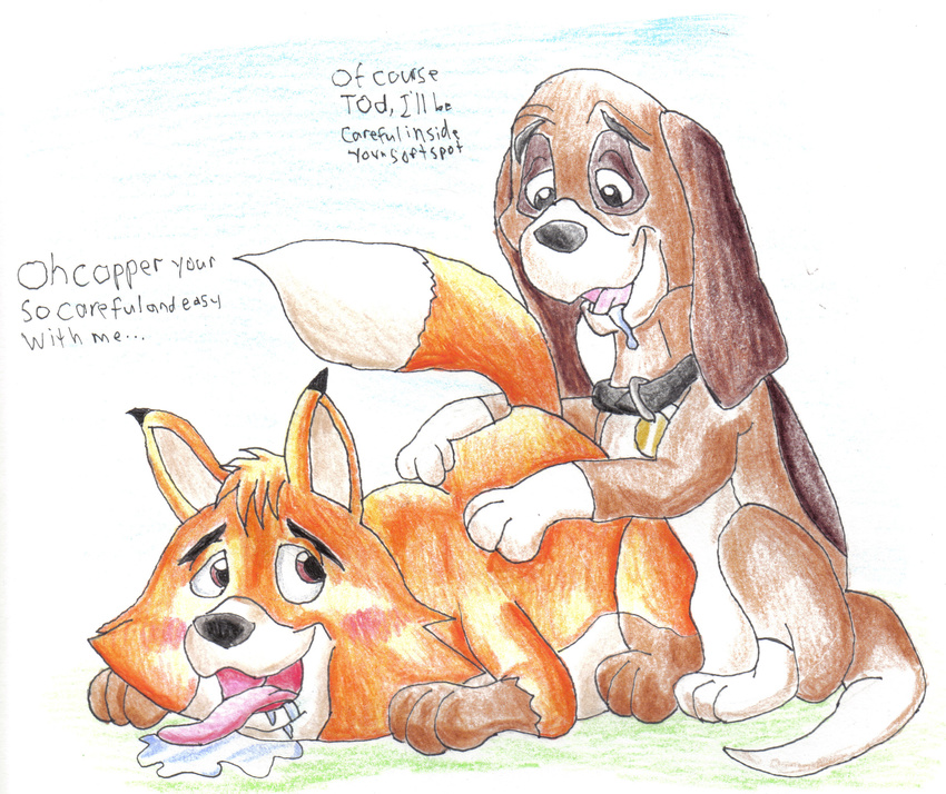 copper disney tagme the_fox_and_the_hound todd