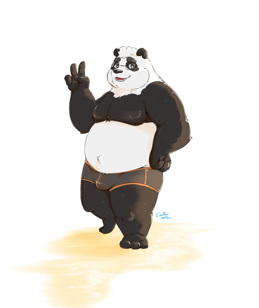 2020 anthro black_body black_fur bulge clothing crentonigen fur giant_panda hi_res humanoid_hands male mammal overweight overweight_anthro overweight_male simple_background solo underwear ursid white_body white_fur