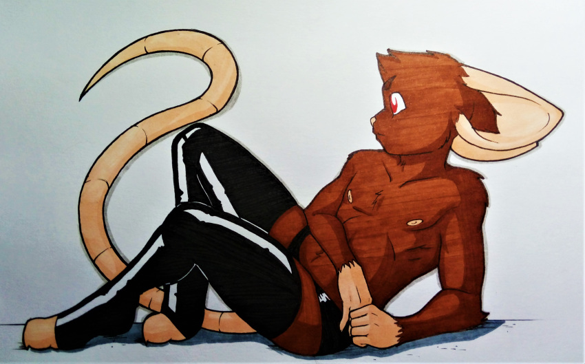 absurd_res anthro brown_body brown_fur fur hi_res latex_clothing latex_panties latex_stockings male mammal mouse murid murine nipples red_eyes rodent rotten_owl simple_background solo traditional_media_(artwork) white_background