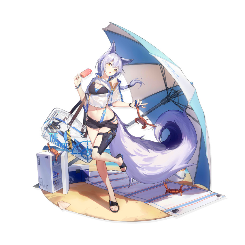 1girl :o animal_ears arknights bag bangs beach_umbrella bikini bikini_under_clothes blue_bikini braid breasts cleavage cooler crab crop_top food framed_breasts full_body hand_up head_tilt highres hip_vent holding holding_food long_hair low_ponytail medium_breasts midriff navel nian official_art open_mouth popsicle provence_(arknights) sandals shadow shirt short_shorts short_sleeves shorts silver_hair single_braid solo standing standing_on_one_leg stomach swimsuit tail transparent_background umbrella white_shirt wolf_ears wolf_tail yellow_eyes