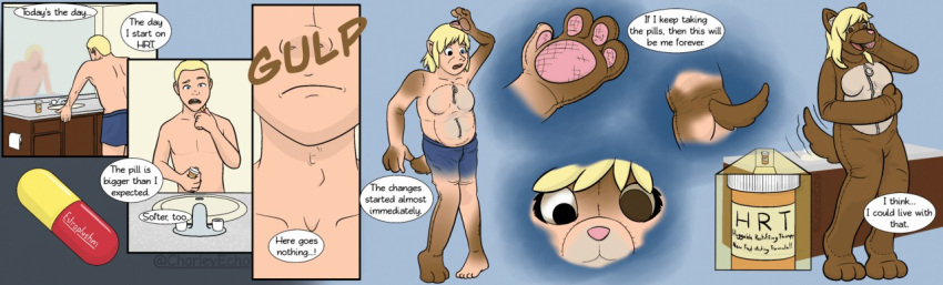 animate_inanimate anthro blonde_hair breast_growth brown_body brown_fur calliecho canid canine canis coyote drugs fur gender_transformation hair human humanoid male mammal mtf_transformation onomatopoeia pawpads pills plushie solo sound_effects tail_growth text transformation translated
