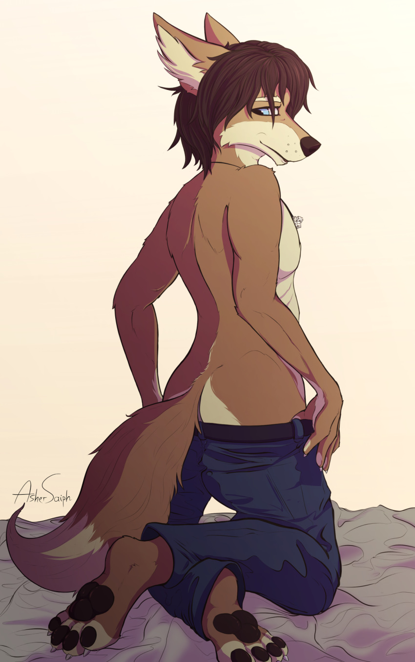 anthro asher blue_eyes brown_body brown_fur butt canid canine canis clothed clothing dice fur hi_res jackal jewelry male mammal necklace pants_down partially_clothed pawpads paws smile solo toes volp3