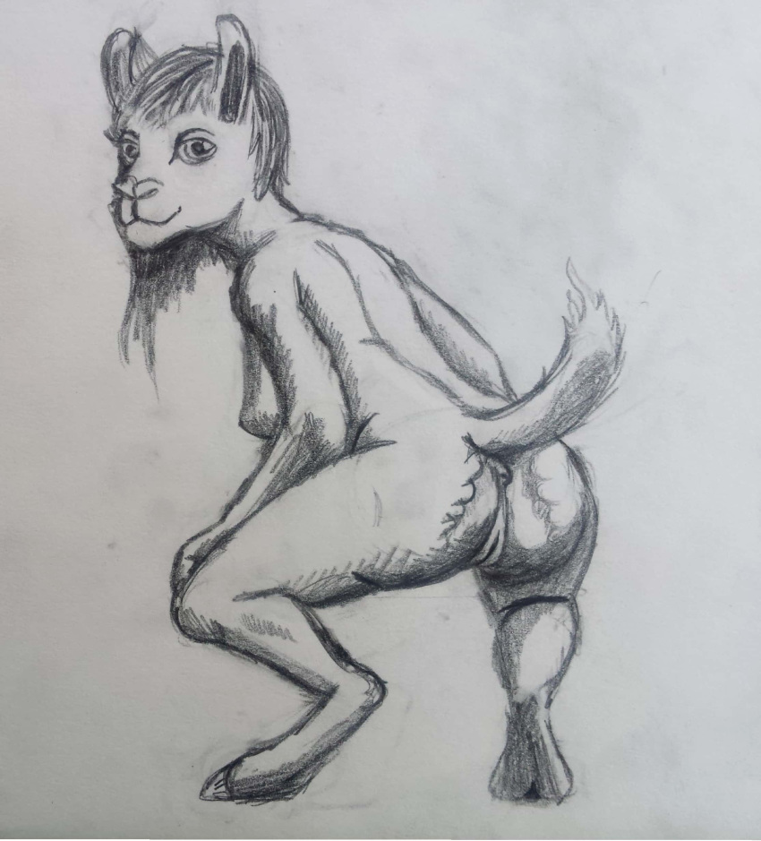 absurd_res anthro anus big_butt breasts butt camelid female genitals hair hi_res hooves kneeling_down llama long_hair looking_at_viewer mammal presenting presenting_hindquarters presenting_pussy pussy raised_tail side_boob sketch sketchy smile solo stichedpiscus