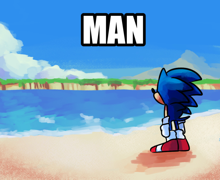 11:9 2020 anthro artisyone beach biped blue_sky clothing cloud day digital_media_(artwork) eulipotyphlan footwear fur gloves green_body green_fur handwear hedgehog impact_(font) male mammal meme seaside shoes sky solo sonic_the_hedgehog sonic_the_hedgehog_(series) standing water