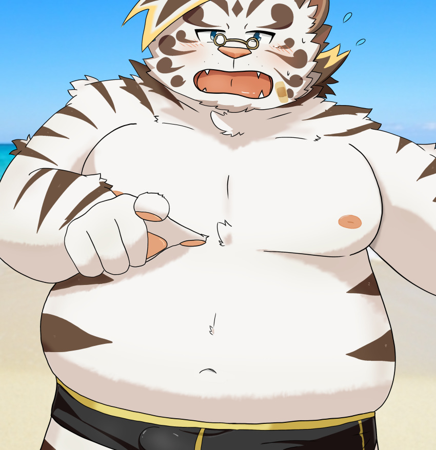 2020 absurd_res anthro belly blush eyewear felid glasses hi_res kemono licho_(tas) male mammal moobs navel nipples outside overweight overweight_anthro overweight_male pantherine solo tiger tokyo_afterschool_summoners video_games yukinari_ism