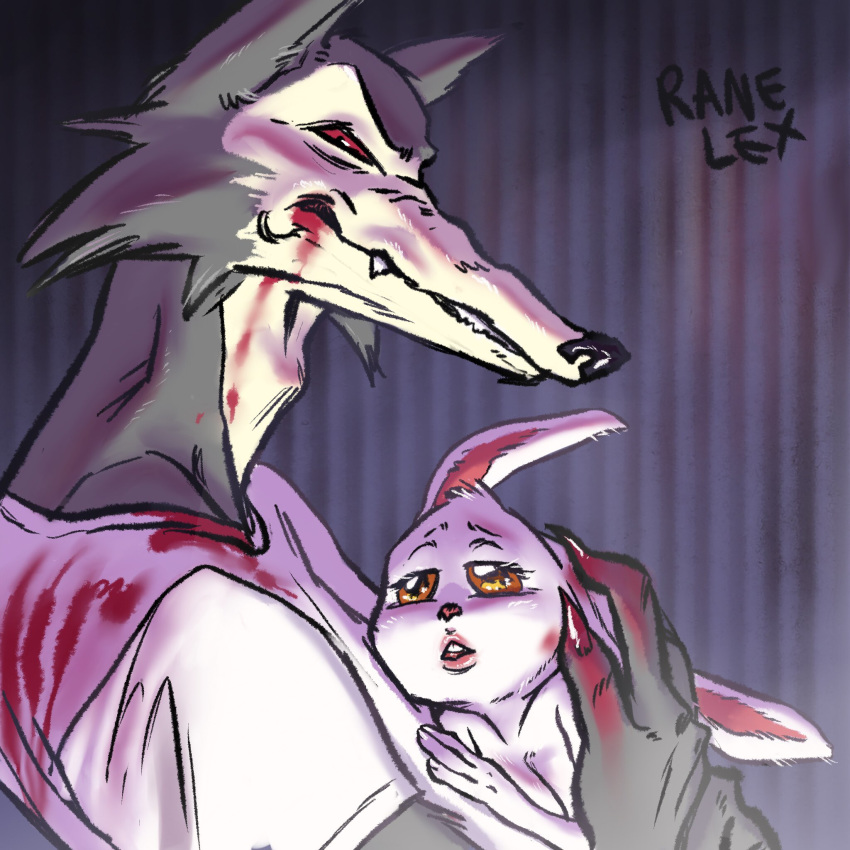 1:1 2020 amber_eyes anthro anthro_on_anthro beastars blood bloody_clothing bodily_fluids breasts canid canine canis claws clothed clothed/nude clothed_male_nude_female clothing domestic_rabbit duo embracing fangs female fur grey_body grey_fur haru_(beastars) hi_res lagomorph larger_male legoshi_(beastars) leporid long_snout male male/female mammal nude oryctolagus predator/prey rabbit ranelex red_eyes shirt size_difference smaller_female snout t-shirt topwear white_body white_fur wolf