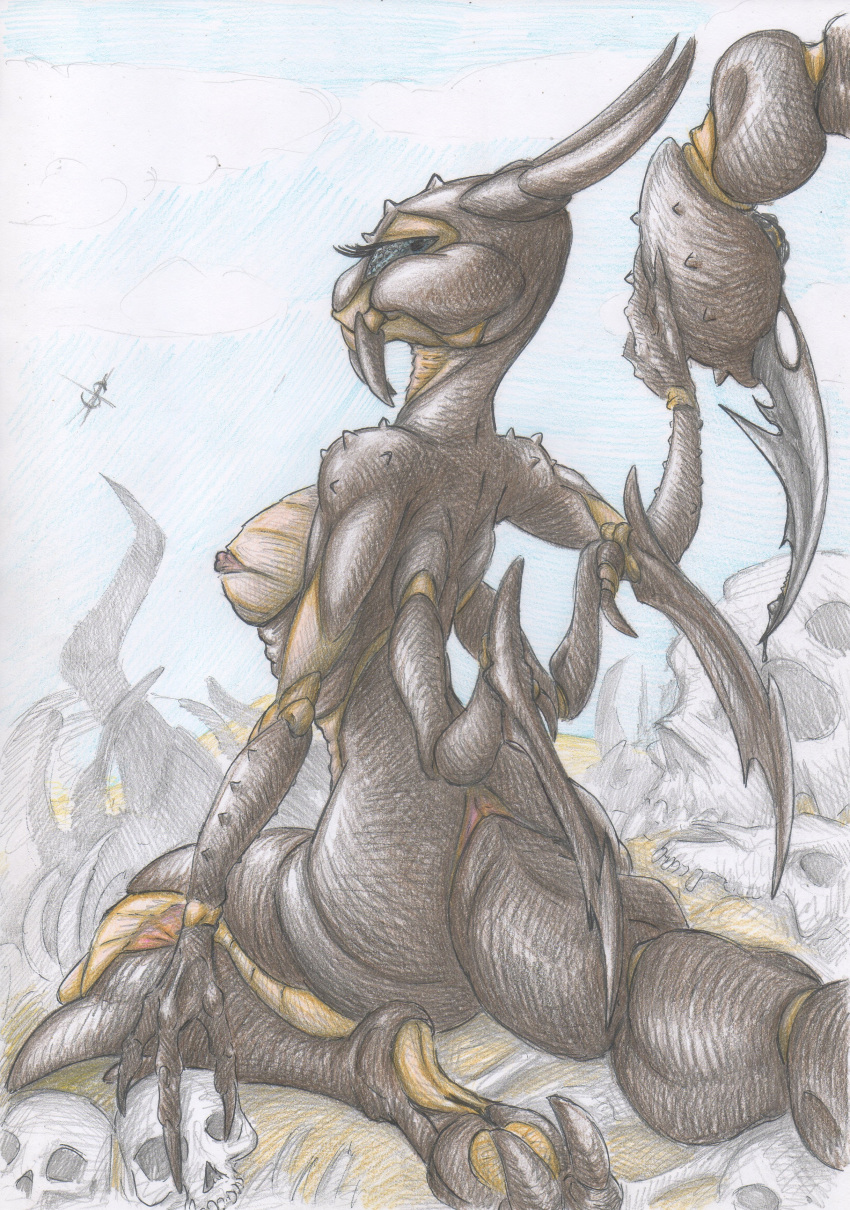 3_fingers absurd_res anthro arachnid arthropod bone breasts claws detailed_background erect_nipples eyelashes female fingers hi_res horn kneeling looking_at_viewer looking_back mandibles multi_arm multi_limb nipples non-mammal_breasts nude outside scorpion skull solo spiritalpha stinger traditional_media_(artwork) venom wide_hips