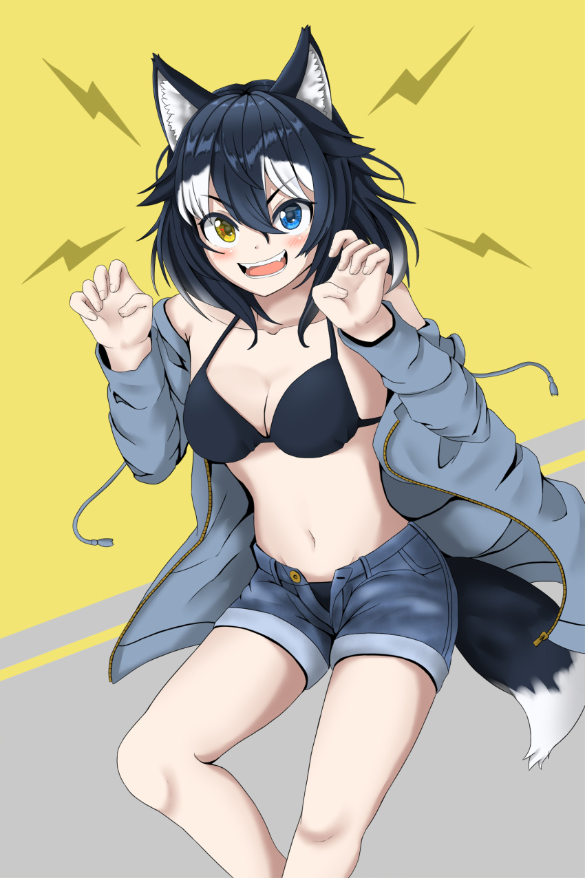 1girl animal_ears bikini bikini_top black_bikini black_hair blue_eyes blush breasts cleavage collarbone commentary commentary_request eyebrows_visible_through_hair grey_wolf_(kemono_friends) heterochromia highres kemono_friends large_breasts looking_at_viewer maindo_(mindrmindr) multicolored_hair navel open_mouth shorts solo swimsuit tail two-tone_hair white_hair wolf_ears wolf_girl wolf_tail yellow_eyes