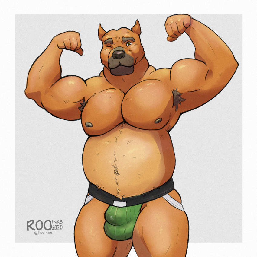 anthro armpit_hair belly biceps black_body black_fur black_muzzle body_hair bulge canid canine canis clothing domestic_dog eyebrows flexing fur hi_res jockstrap male mammal muscular muscular_anthro muscular_male navel nipples one_eye_closed pecs pit_bull rooinks simple_background slightly_chubby solo tan_body thick_neck thick_thighs underwear watermark