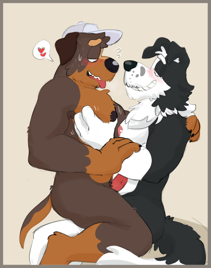 &lt;3 2024 alt_energy_dog anthro anthro_on_anthro anthro_on_bottom anthro_on_top baseball_cap berchbark bluey_(series) blush bodily_fluids border border_collie canid canine canis claws clothing collie cuddling dialogue_box domestic_dog duo erection eyebrows fur genitals grey_background grey_border hand_on_arm hand_on_back hand_on_chest hand_on_pecs hat headgear headwear herding_dog hi_res humanoid_genitalia humanoid_penis kneeling mackenzie's_dad_(bluey) male male/male male_on_bottom male_on_top mammal motion_lines muscular muscular_anthro muscular_male narrowed_eyes nipples nude on_bottom on_lap on_top open_mouth open_smile pastoral_dog pec_grab pecs penis sheepdog side_view simple_background sitting smile sweat sweatdrop tongue tongue_out tuft