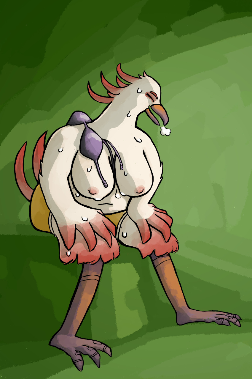 2:3 absurd_res anthro avian beak big_breasts bird bodily_fluids bottomwear bra breasts clothed clothing feathers female gallardo green_eyes hi_res hotpants non-mammal_breasts red_body red_feathers shorts simple_background sitting solo sweat underwear white_body