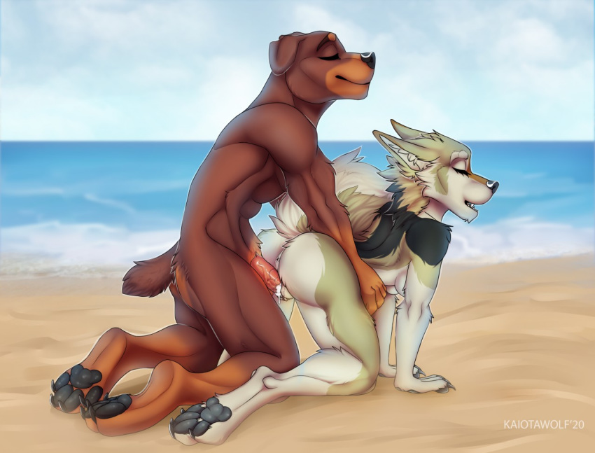 2020 4_toes 5_fingers anthro anthro_on_anthro anthro_penetrated anthro_penetrating anthro_penetrating_anthro beach black_pawpads brown_body brown_fur canid canine canis coyote day detailed_background digital_media_(artwork) domestic_dog duo female female_penetrated fingers fur green_body green_fur kaiotawolf male male/female male_penetrating male_penetrating_female mammal outside pawpads penetration sand seaside sex shoreline sky smile toes vaginal vaginal_penetration water