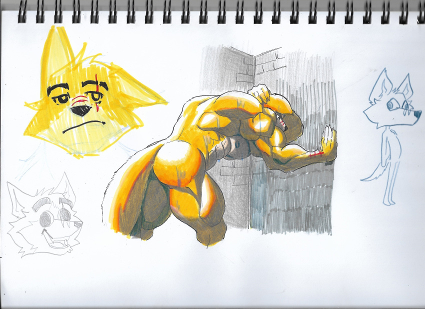 abs absurd_res anthro biceps butt canid canine canis cooper_krager fur hi_res looking_down male mammal muscular muscular_anthro muscular_male nipples nude pecs pinumontbalou remember_the_flowers scar sketch solo tail traditional_media_(artwork) wet wolf yellow_body yellow_fur