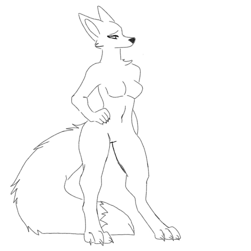 anthro big_tail breasts canid canine canis claws digitigrade featureless_breasts featureless_crotch female mammal medium_breasts mouthless onnog simple_face sketch slim solo tail toe_claws wide_hips wolf