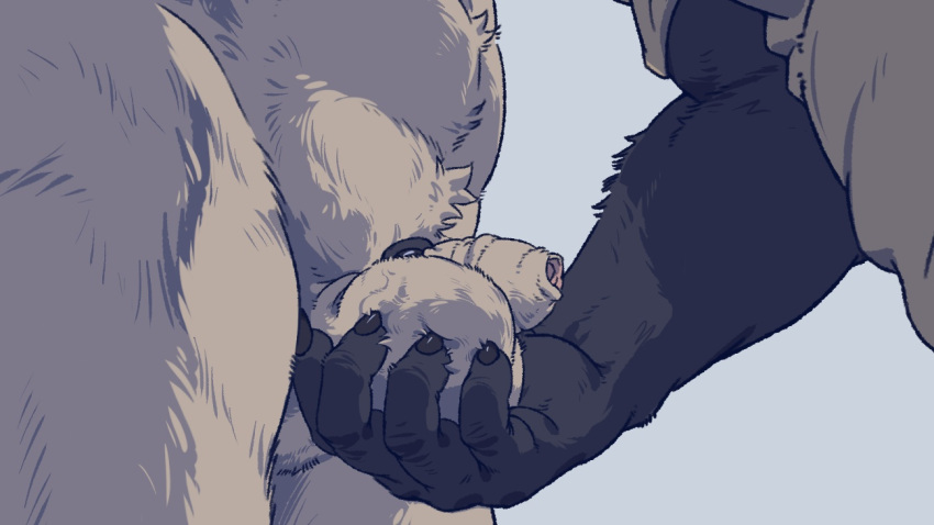 anthro balls bear beastars clothed clothing duo flaccid foreskin fur genitals giant_panda gouhin_(beastars) male male/male mammal nude penis riz_(beastars) saadness sadness_hao simple_background small_penis