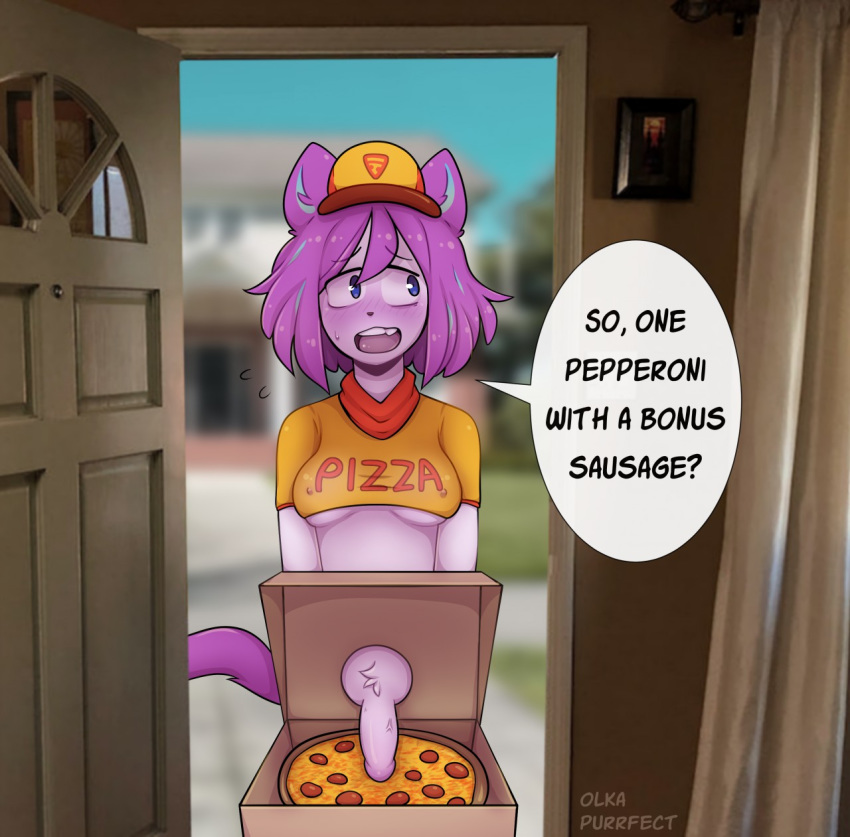 anthro delivery_(commerce) delivery_employee dialogue domestic_cat door english_text felid feline felis food food_carrier food_delivery genitals gynomorph hair hi_res intersex mammal marshmallow-ears penis photo_background pink_hair pizza pizza_box pizza_delivery pizza_delivery_carrier public roleplay shy solo speech_bubble text