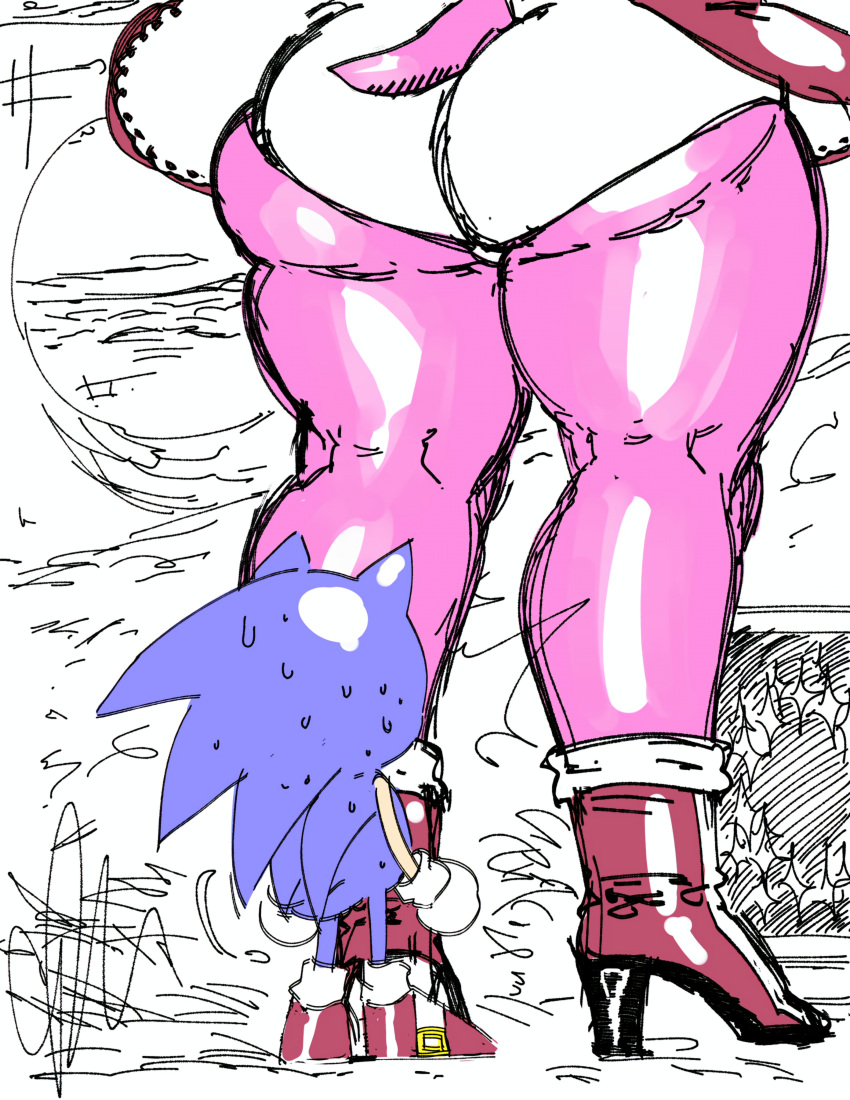 00blaq absurd_res amy_rose anthro big_butt blue_body bodily_fluids boots butt clothing dress duo eulipotyphlan faceless_character faceless_female female footwear gloves handwear hedgehog hi_res high_heeled_boots high_heels huge_butt macro male mammal panties pink_body sega shoes sonic_the_hedgehog sonic_the_hedgehog_(series) sweat tail thick_thighs underwear