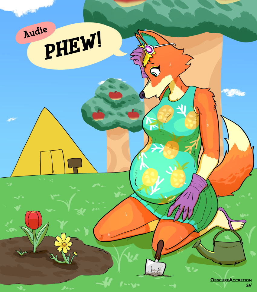 2024 5_fingers absurd_res animal_crossing anthro audie_(animal_crossing) belly big_belly black_nose blonde_hair bodily_fluids breasts canid canine canis clothed clothed_anthro clothed_female clothing dress dweevil english_text eyewear eyewear_on_head female fingers flower footwear fur gardening gloves hair handwear hi_res humanoid_hands kneeling mammal mayternity mayternity_2024 nintendo outside plant pregnant pregnant_anthro pregnant_female red_body red_fur sandals solo spade_(shovel) sunglasses sunglasses_on_head sweat tent text tree watering_can wolf