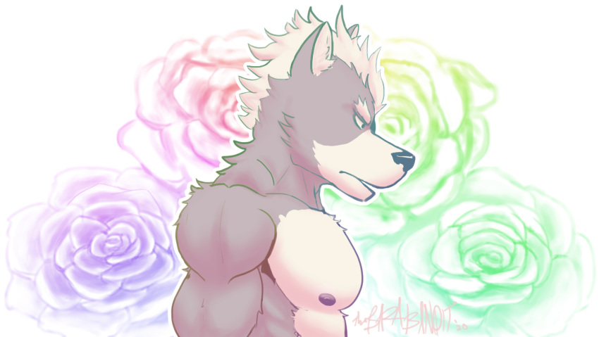 anthro canid canine canis clothed clothing male mammal muscular muscular_anthro muscular_male nintendo rose_(disambiguation) solo star_fox thebarabandit topless video_games wolf wolf_o'donnell