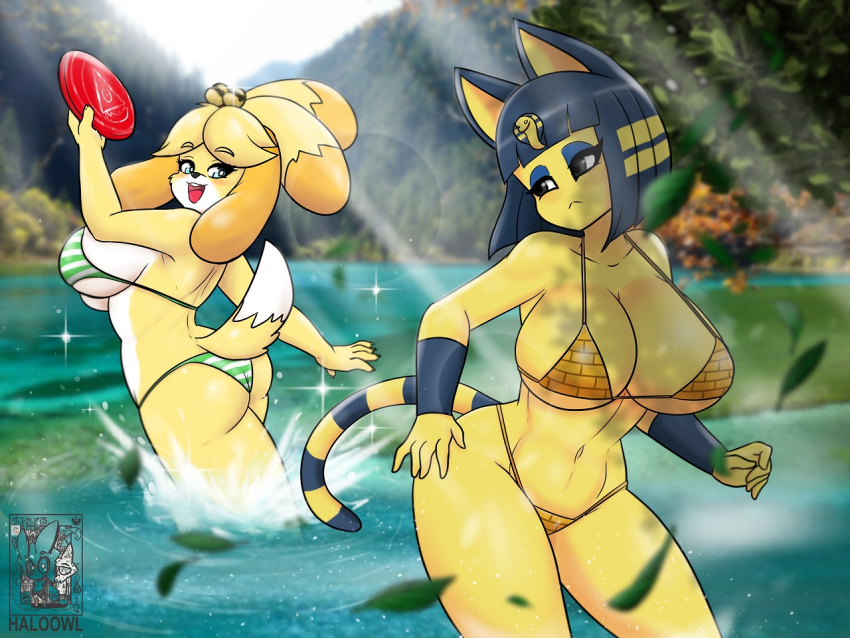 animal_crossing ankha_(animal_crossing) anthro big_breasts big_butt bikini blue_eyes blush breasts butt canid canine canis clothed clothing domestic_cat domestic_dog duo egyptian felid feline felis female frisbee fur grey_eyes hair halotroll holding_object isabelle_(animal_crossing) lake light looking_back mammal nintendo open_mouth outside shih_tzu sunlight swimwear teeth thick_thighs tongue toy_dog tree video_games wide_hips yellow_body yellow_fur