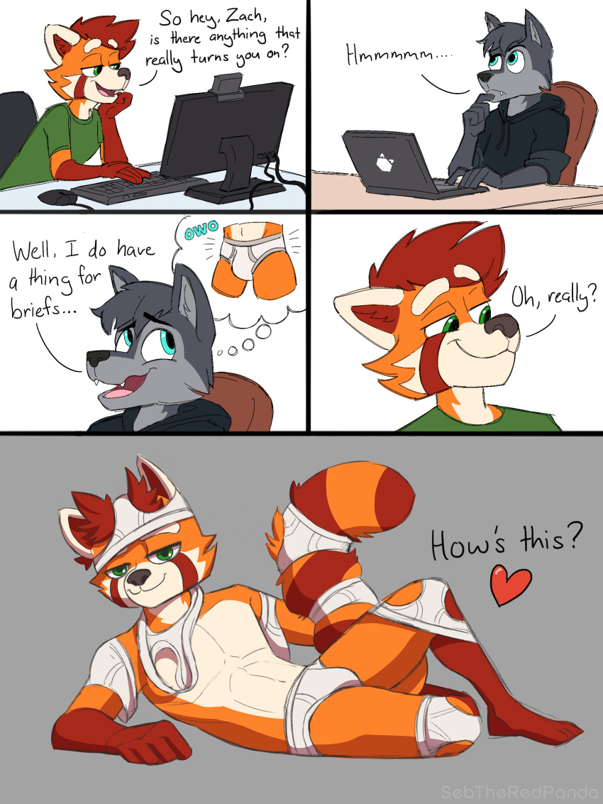 3:4 absurd_res ailurid anthro briefs bulge canid canine canis clothing comic computer dialogue duo e621 embarrassed english_text fur hi_res hoodie humor laptop male male/male mammal owo red_panda seb_the_red_panda sebtheredpanda smug text topwear underwear white_clothing white_underwear wolf zach_the_wolf