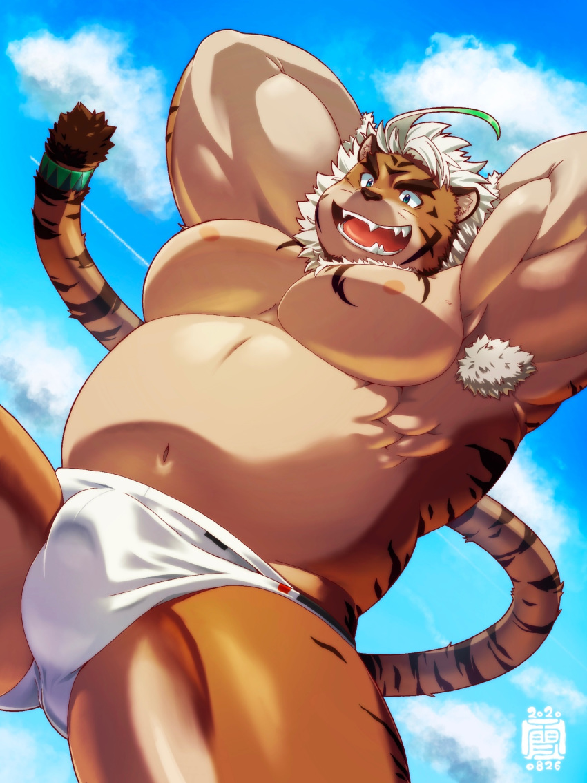 2020 3:4 anthro belly clothing felid hi_res hombretigre kemono male mammal moobs navel nipples outside overweight overweight_anthro overweight_male pantherine solo swimwear tiger tokyo_afterschool_summoners video_games yukimushi6