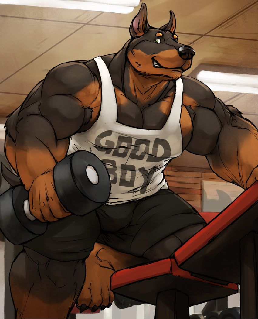 4_toes 5_fingers anthro armpit_hair biceps black_nose body_hair bulge canid canine canis cinna-tree dark_fur detailed_background domestic_dog dumbbell excercise fingers fur good_boy gym hi_res holding_object kneeling/standing looking_at_viewer male male/male mammal mastiff molosser muscular muscular_male nails orange_body orange_fur pecs rottweiler sharp_nails sharp_toenails solo toenails toes weights