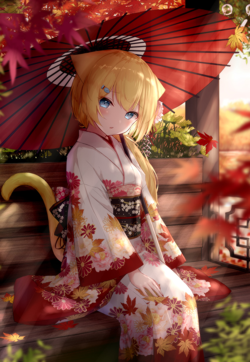 1girl absurdres animal_ears autumn_leaves bangs blonde_hair blue_eyes blurry blurry_foreground cat_ears cat_girl cat_tail depth_of_field floral_print fox_girl furisode guo582 hair_ornament hairclip hanazono_serena hanazono_serena_(channel) hand_on_lap highres japanese_clothes kimono leaf looking_at_viewer maple_leaf obi oriental_umbrella outdoors print_kimono red_umbrella sash sitting solo tail umbrella virtual_youtuber