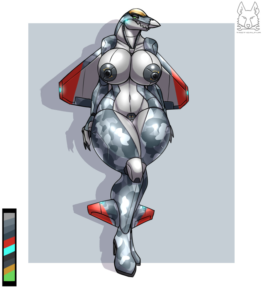 absurd_res aircraft airplane anthro areola big_breasts breasts camo clothing f-22 female footwear genitals green_eyes hi_res high_heels jet living_aircraft living_machine living_vehicle machine metalfoxxx nipples pose pussy shoes solo standing thick_thighs vehicle wide_hips