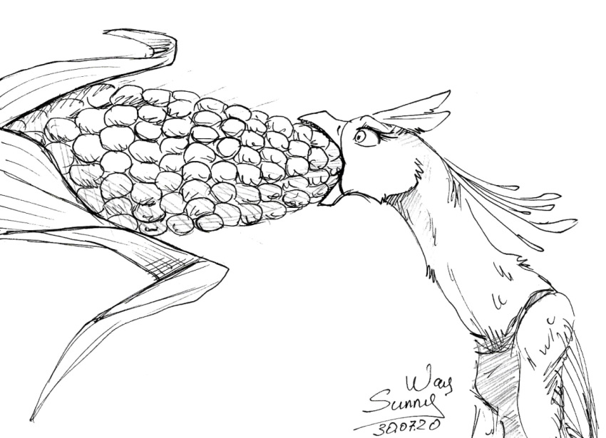 anthro avian corn eating equis_universe female ferimgari humor nom paper raven_cayden silly silly_face size_difference sketch solo sunny_way traditional_media_(artwork)